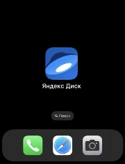 Приложение MEGA на главном экране iOS — шаг 4